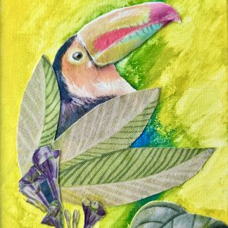 Toucan in a tree