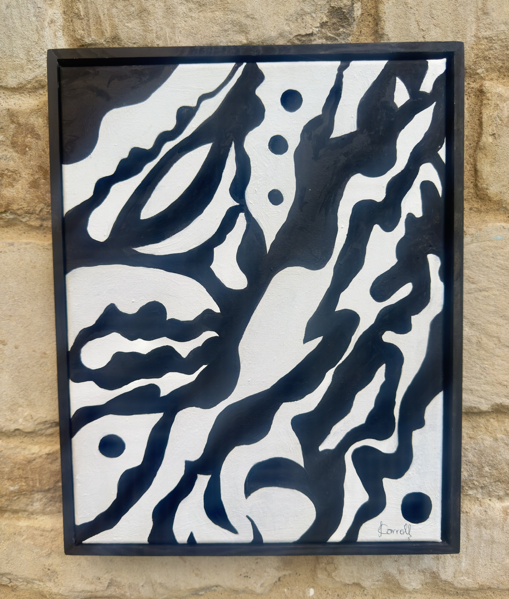 Jagged Contrasts